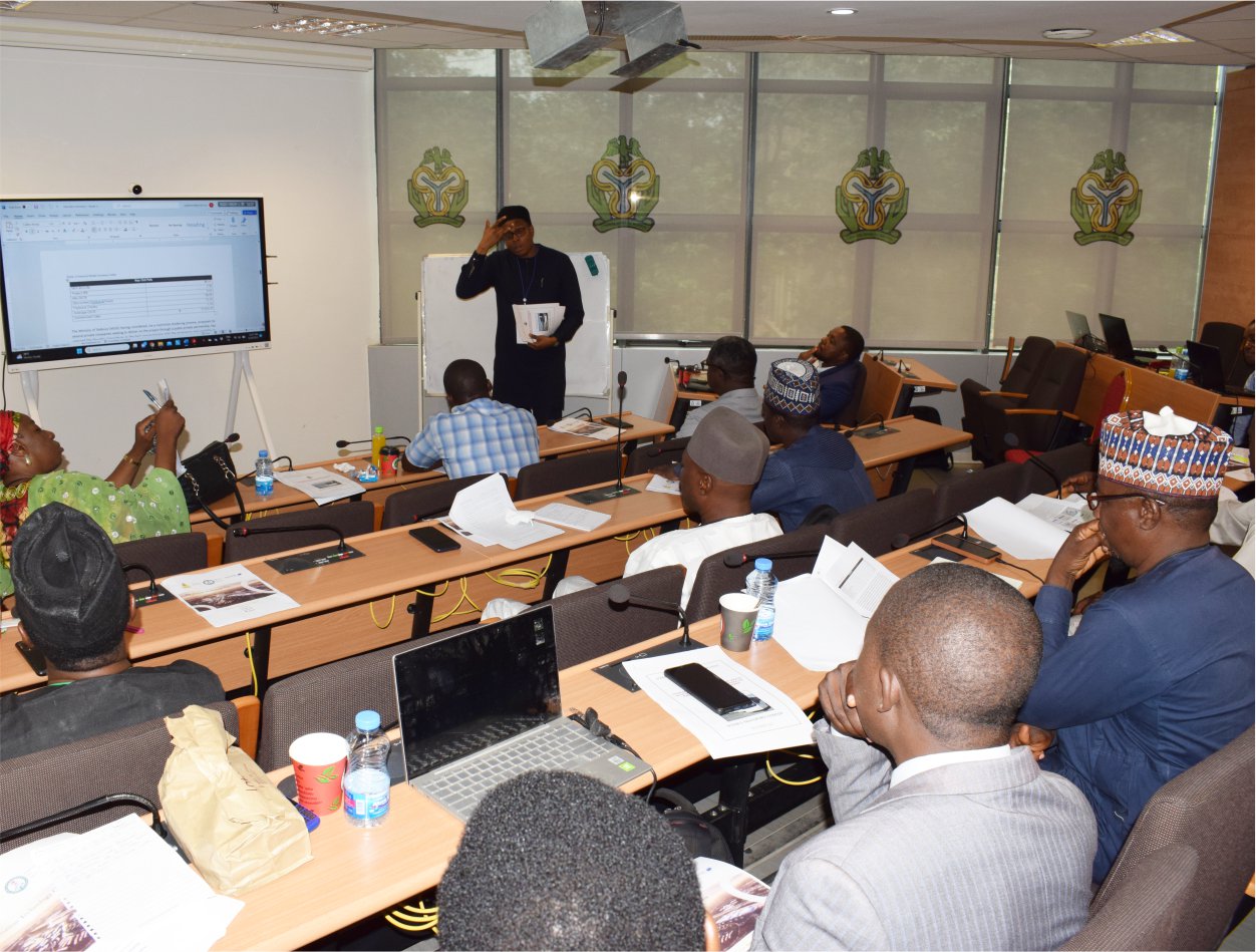 Capacity building services